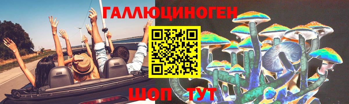 Галлюциногенные грибы прущие грибы  Галлюциногенные грибы мицелий  Вход с VPN  Владикавказ 