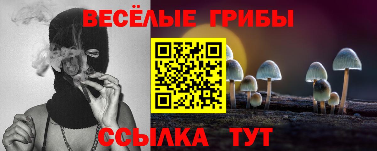 Псилоцибиновые грибы MAGIC MUSHROOMS Владикавказ
